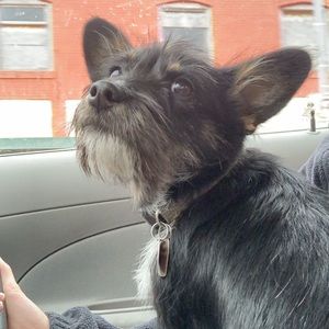 Meet your Posher, Bethany